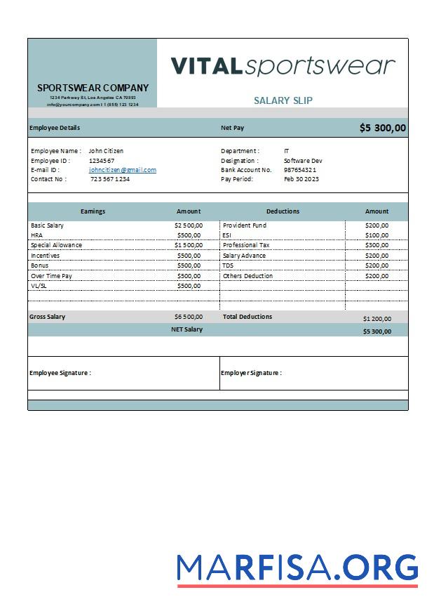 Downloadable Sportswear company earning statement real example